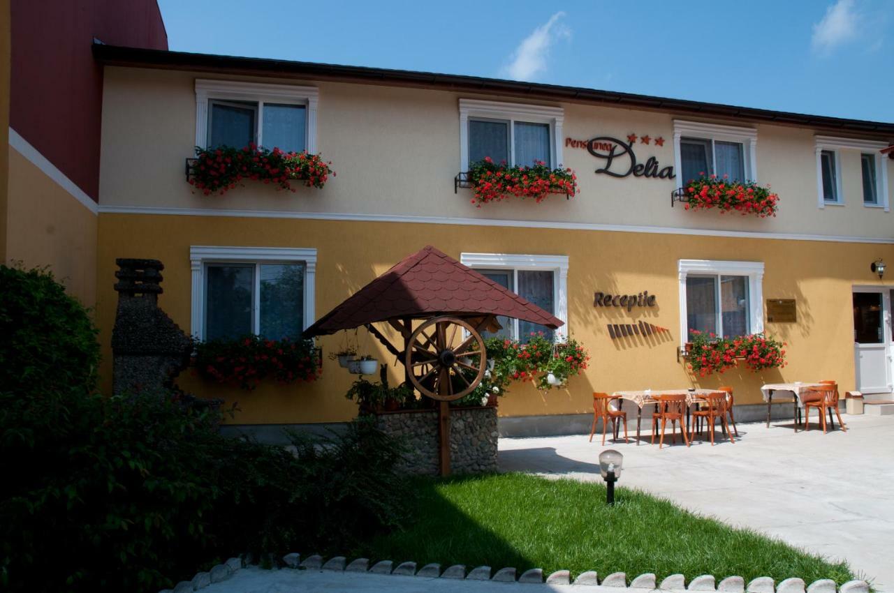 Pension Delia Gardens Timisoara Exterior photo