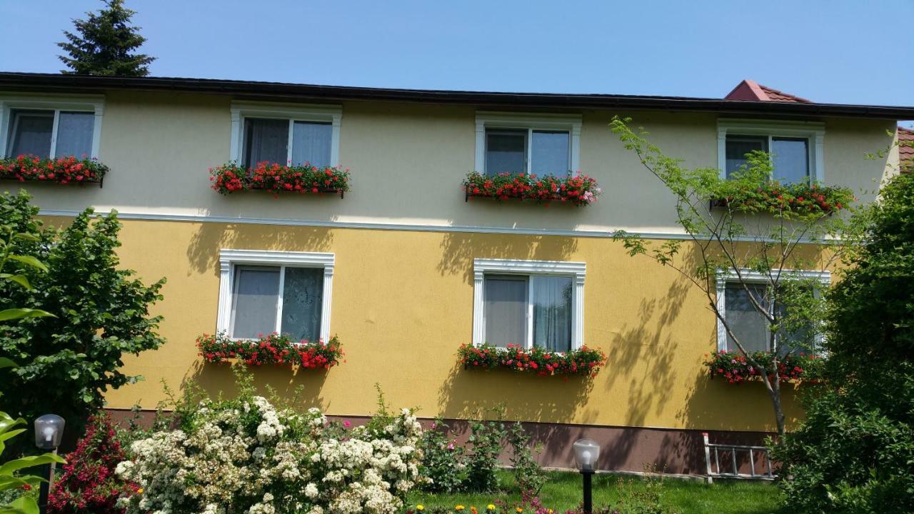 Pension Delia Gardens Timisoara Exterior photo