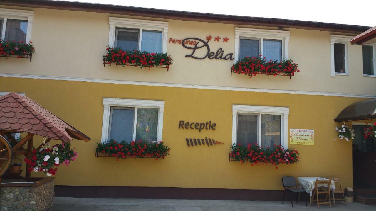 Pension Delia Gardens Timisoara Exterior photo