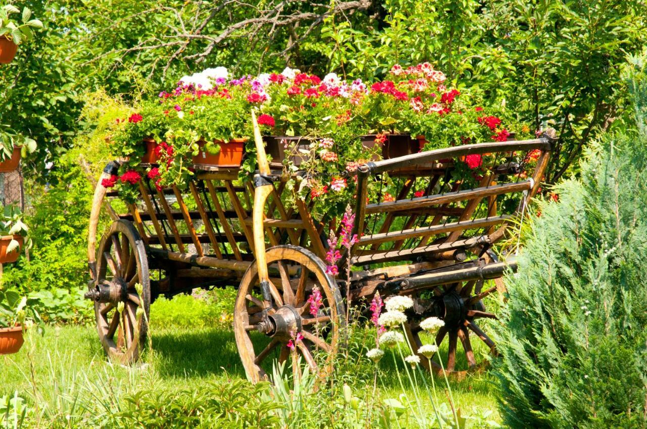 Pension Delia Gardens Timisoara Exterior photo