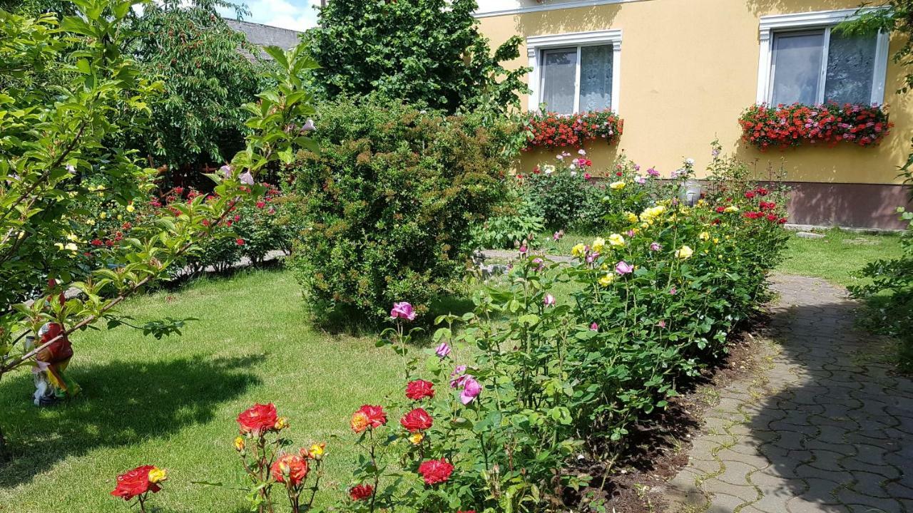 Pension Delia Gardens Timisoara Exterior photo